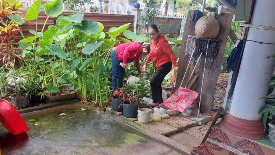 Một học sinh tiểu học ở Bình Phước tử vong do sốt xuất huyết