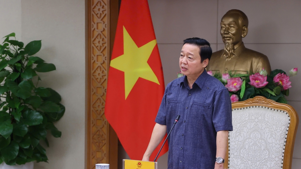 vov tran hong ha.jpg
