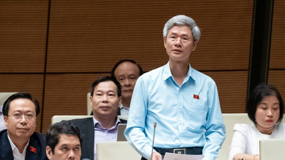 4.11_dao_hong_van.jpeg