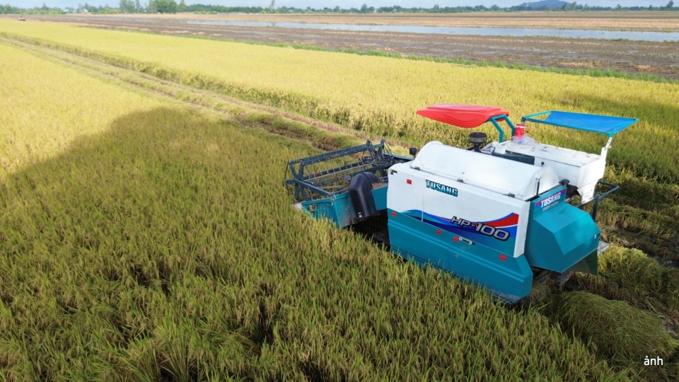 HTX nông nghiệp và dịch vụ Tiến Thuận tại huyện Vĩnh Thạnh được chọn để thí điểm mô hình tại Cần Thơ.JPG