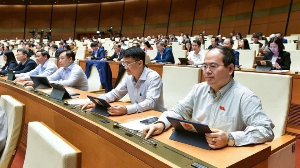 National Assembly press the buton passing the law.jpg