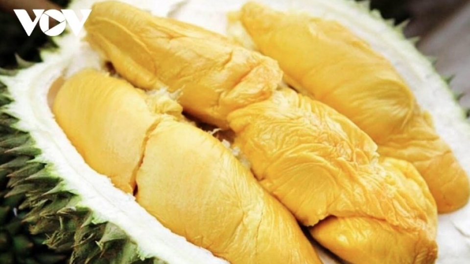 Vietnam emerges as China's largest supplier of durian in September