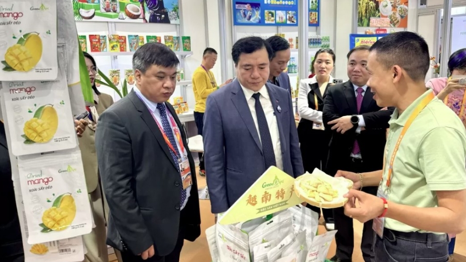 Vietnam attends seventh China International Import Expo