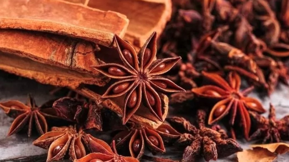 Vietnam grosses US$52.6 million from star anise exports in 10 months