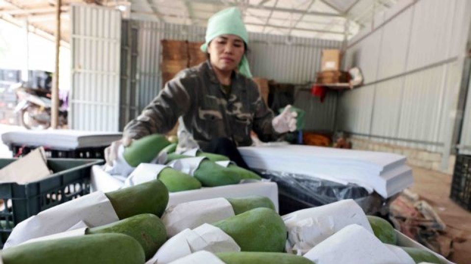 agricultural products.jpg