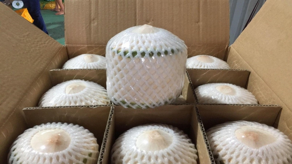 Fresh Vietnamese coconut exports to US skyrocket