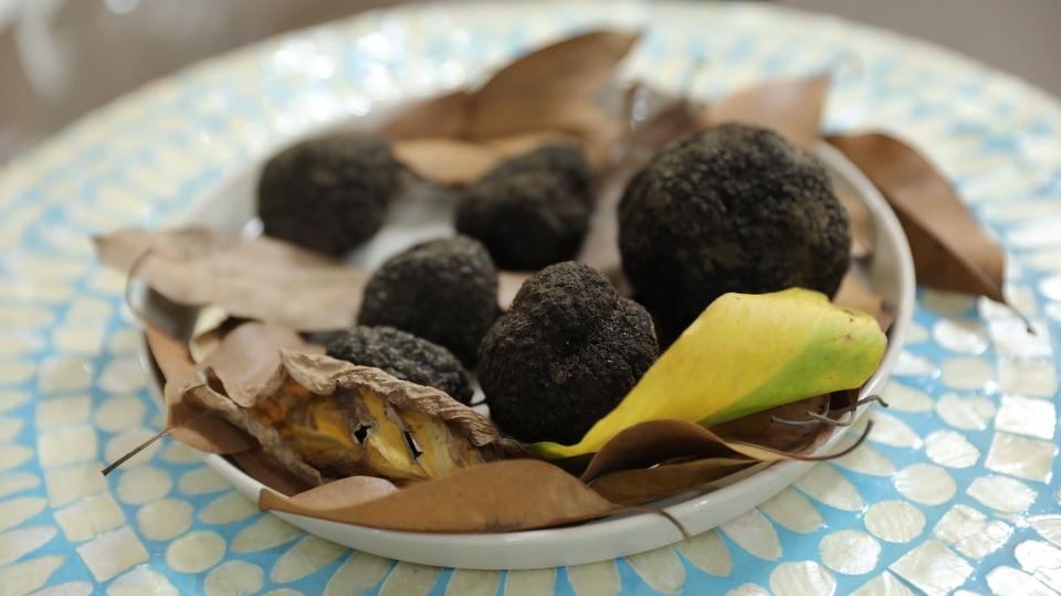 italy exhibition 3.jpg