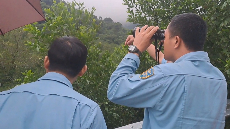 may-bay-roi-o-binh-dinh-3357.jpg