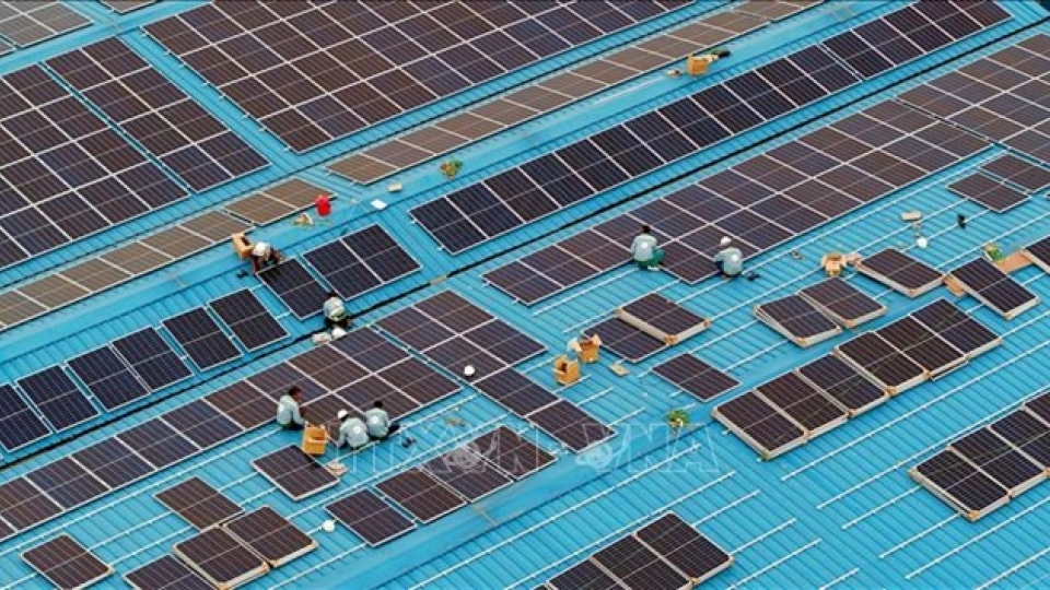 solar panels.jpeg