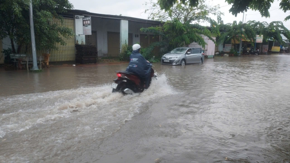 Triều cường vượt báo động 3, Bạc Liêu triển khai nhiều biện pháp ứng phó