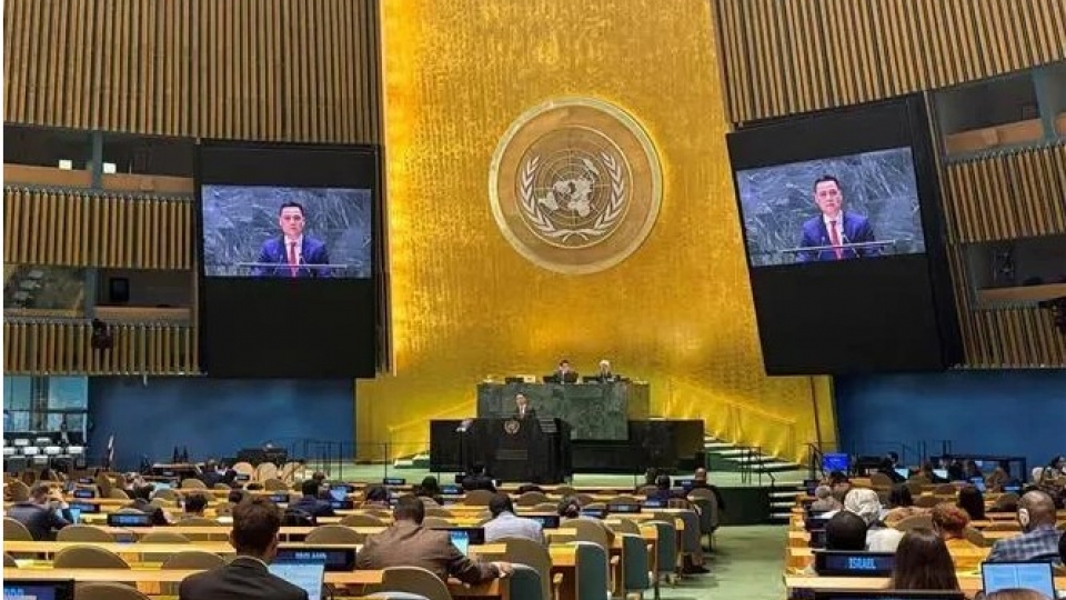 Ambassador Dang Hoang Giang.jpg
