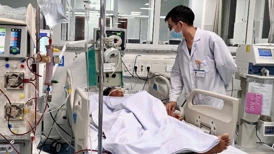 Ngo doc banh canh .jpg