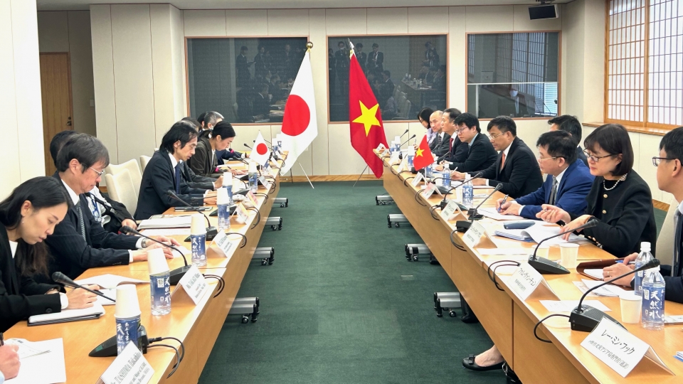 Toàn cảnh Đối thoại Chiến lược Việt Nam - Nhật Bản lần thứ 8 tại Tokyo - Ảnh_ VOV_Tokyo.jpeg