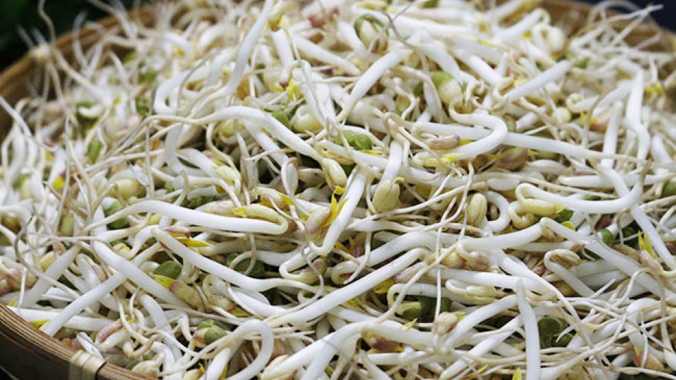cach_phan_biet_gia_do_sach_1.jpg