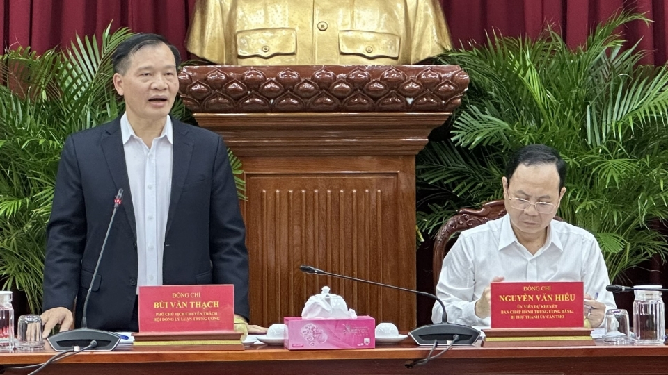 doan kiem tra bo chinh tri lam viec voi thanh uy can tho.jpg