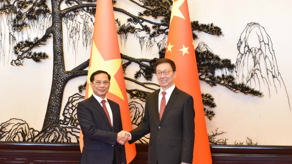 dong_chi_pho_thu_tuong_bui_thanh_son_va_dong_chi_pho_chu_tich_nuoc_trung_quoc_han_chinh_20241210115253.jpg