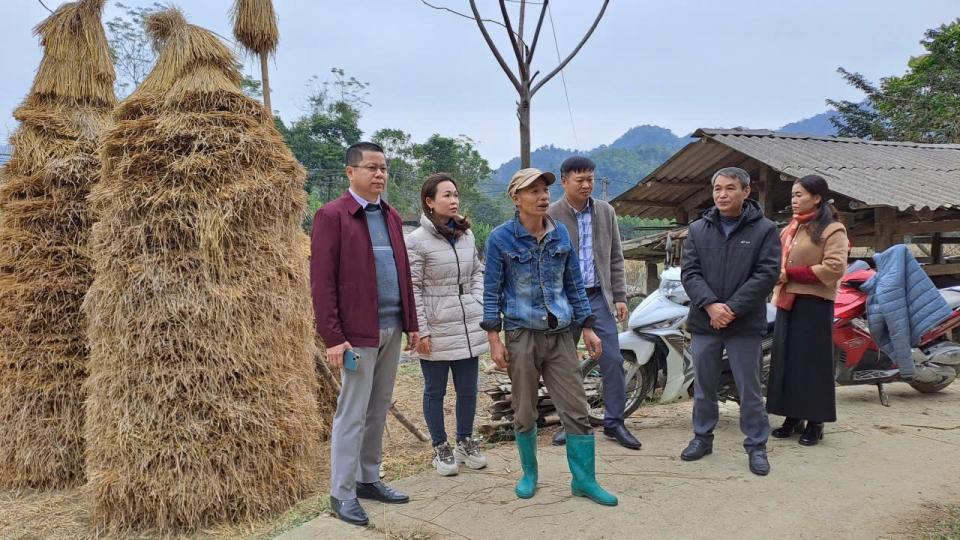 lanh_dao_ubnd_huyen_na_ri_tinh_bac_kan_kiem_tra_cong_tac_phong_chong_ret_cho_gia_suc_tai_cac_thon_ban._nguoi_dan_da_chu_dong_tich_tru_rom_ra_cho_trau_bo_trong_mua_dong.jpg