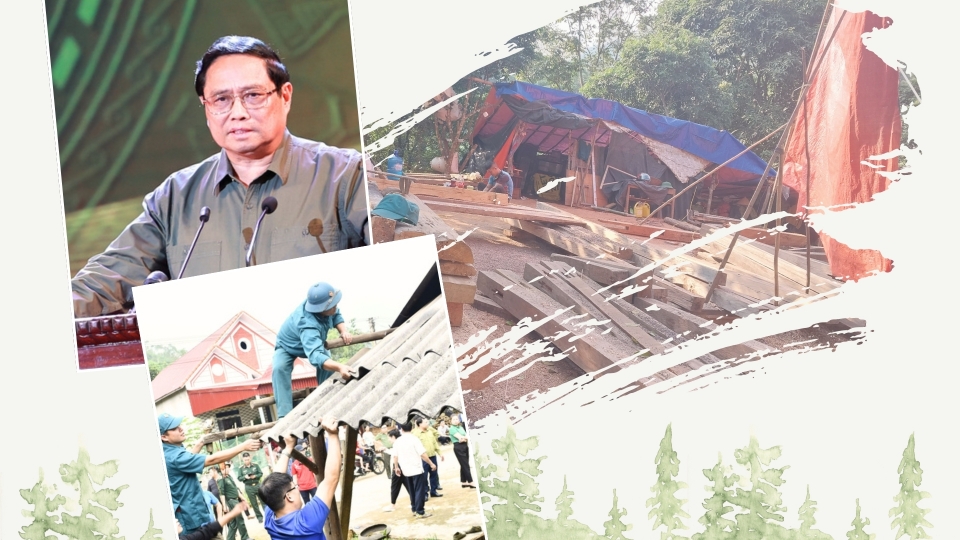 nha tam.jpg