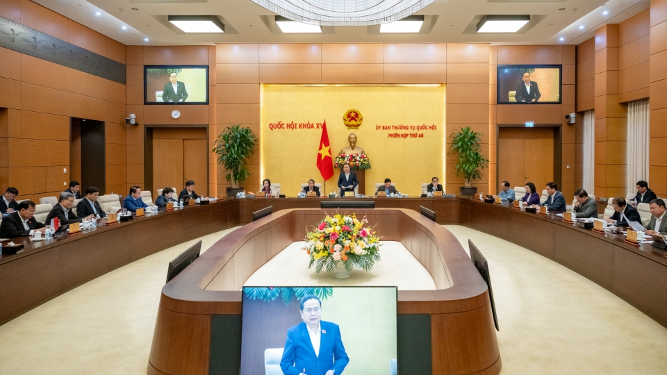 ubtvqh_40.2024.jpg