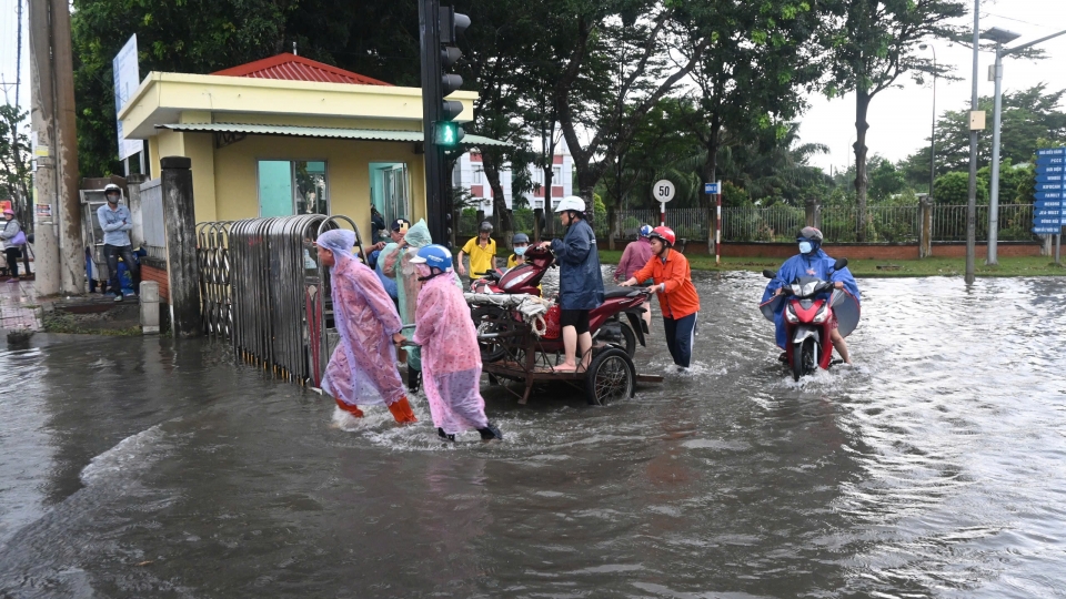 Dịch thủy đậu bùng phát ở Khu công nghiệp Giao Long, Bến Tre