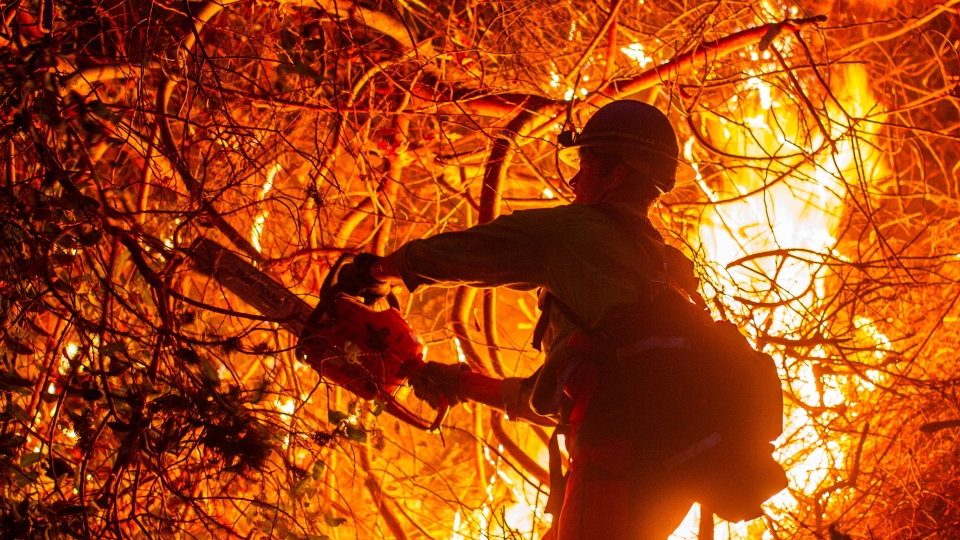 2025-01-13T030417Z_1211100590_RC2H8CAJTO9Y_RTRMADP_3_CALIFORNIA-WILDFIRES.JPG