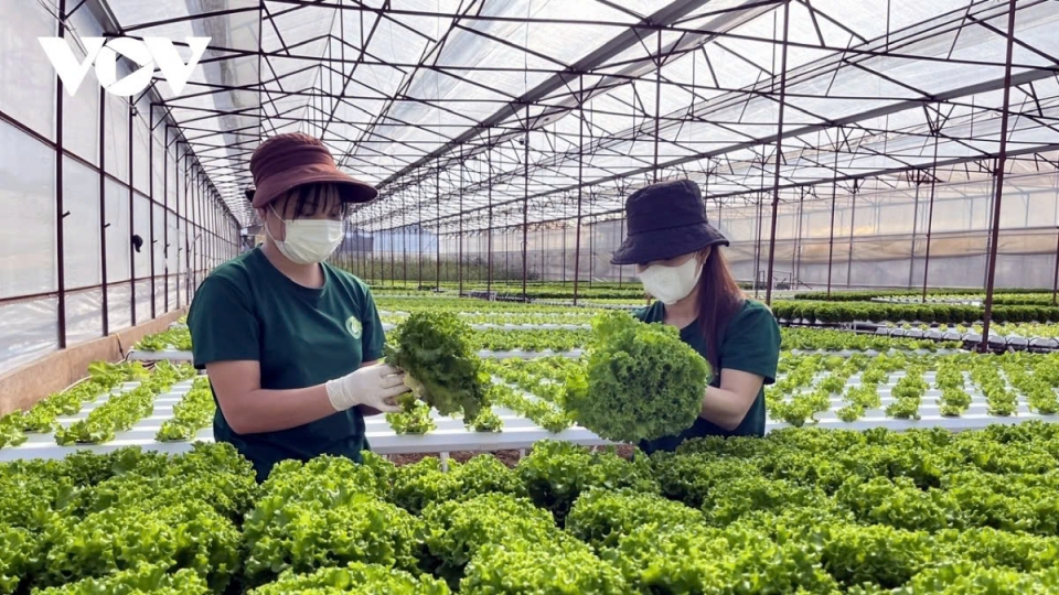 The trend of green transformation in global supply chains is now a survival requirement for businesses..jpg