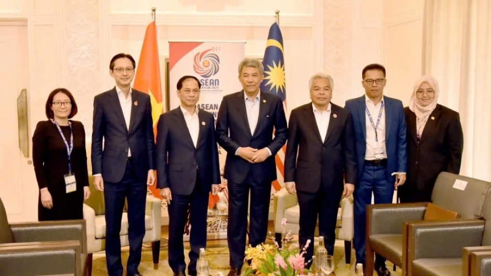 Vietnam desires to promote partnerships with Singapore, malaysia.jpg