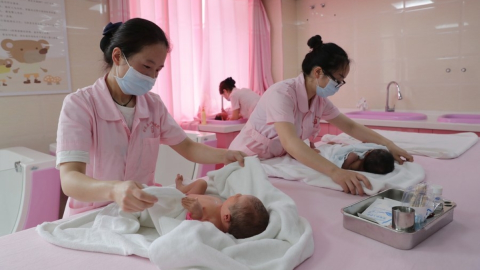 anh_minh_hoa_tan_hoa_xa_20250118102715.jpeg