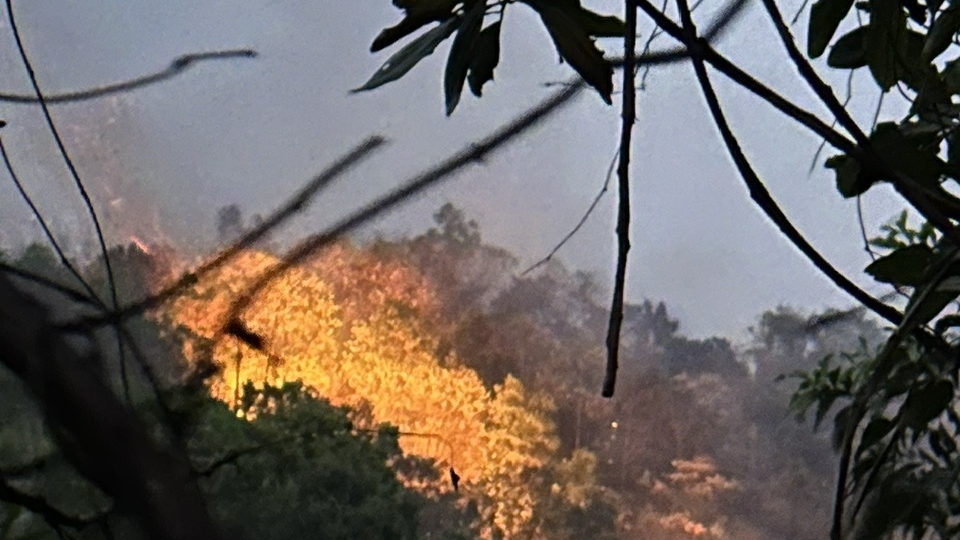 ngon_lua_bung_len_du_doi_khu_vuc_xa_nhu_co_huyen_cho_moi_tinh_bac_kan.jpg