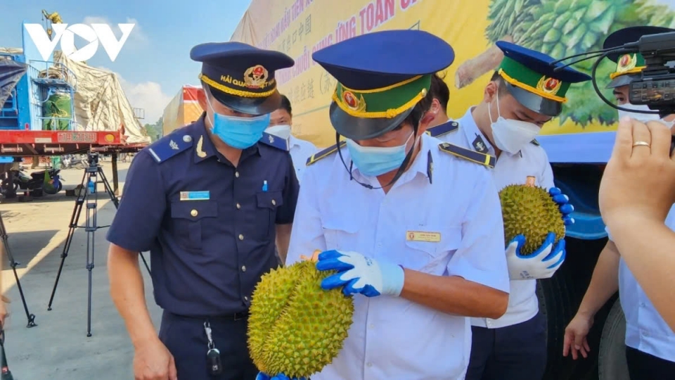 Checking durian quality at a border gate between Vietnam and China.jpg