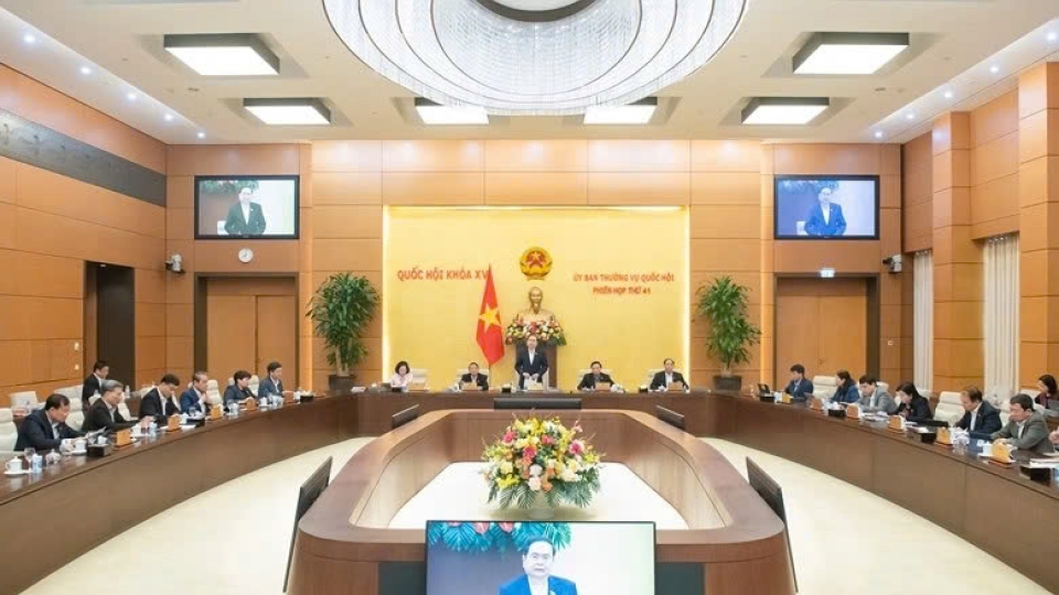 National Assembly Standing Committee session.jpg