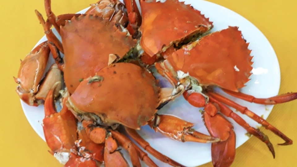 China increases purchases of Vietnamese crab