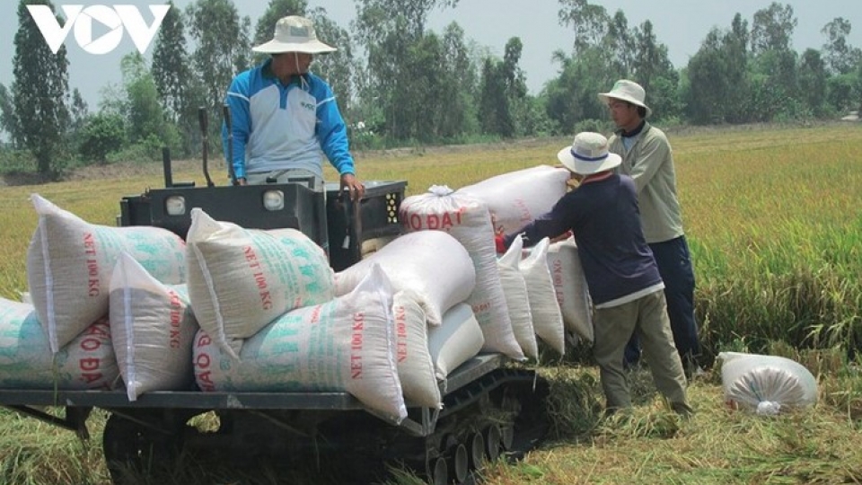 SunRice shows interest in Vietnam’s low-carbon rice production