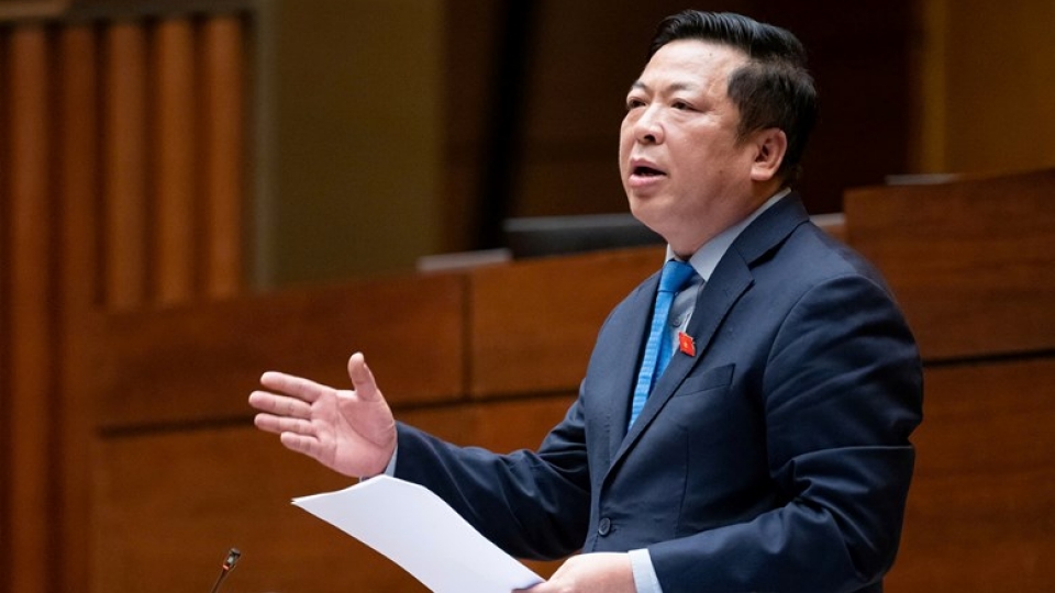 Tran Hong Minh 2.jpg