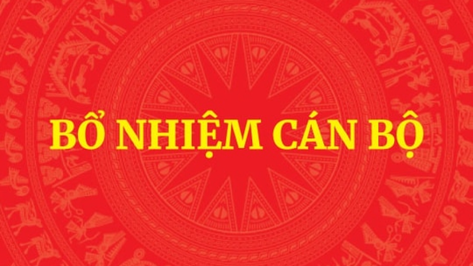 bổ nhiệm cán bộ.jpg