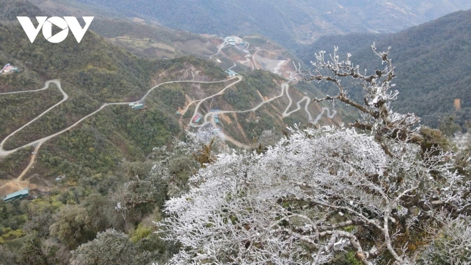 Thủ tướng Chính phủ yêu cầu chủ động ứng phó đợt rét đậm, rét hại kéo dài