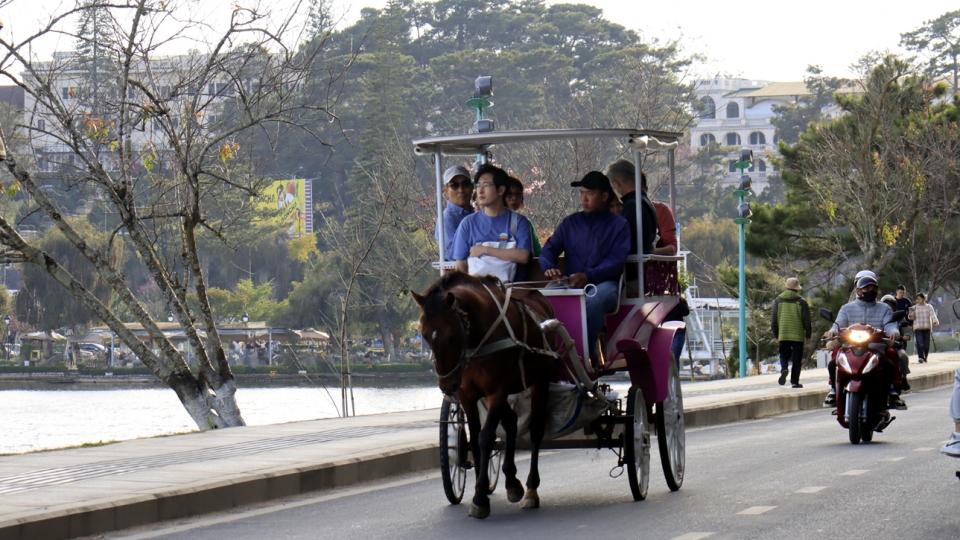 dalat_thu_hut_nhieu_khach_du_xuan_duoi_troi_nang_lanh_3_20250201201637.jpg
