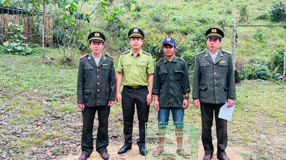 ong_ho_van_kha_thu_2_ben_phai_sang_giao_nop_ca_the_khi_mat_do_cho_hat_kiem_lam_huyen_phu_loc.jpeg