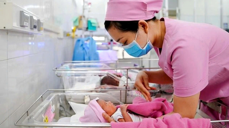 population - childbirth - total fertility rate in Vietnam 1.jpg