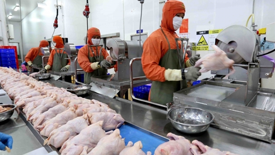 poultry exports.jpg