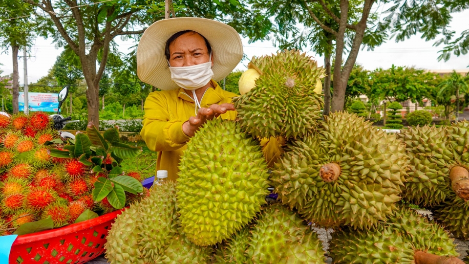 Việt Nam gia tăng lợi thế xuất khẩu trái cây, rau quả sang thị trường Trung Quốc