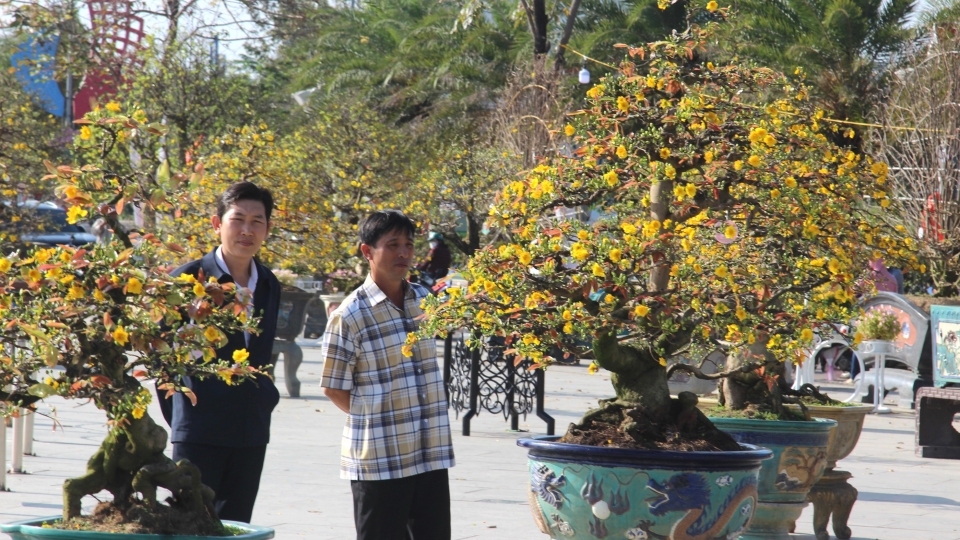 vov_nguoi_dan_den_xem_mai_20250206180403.jpg