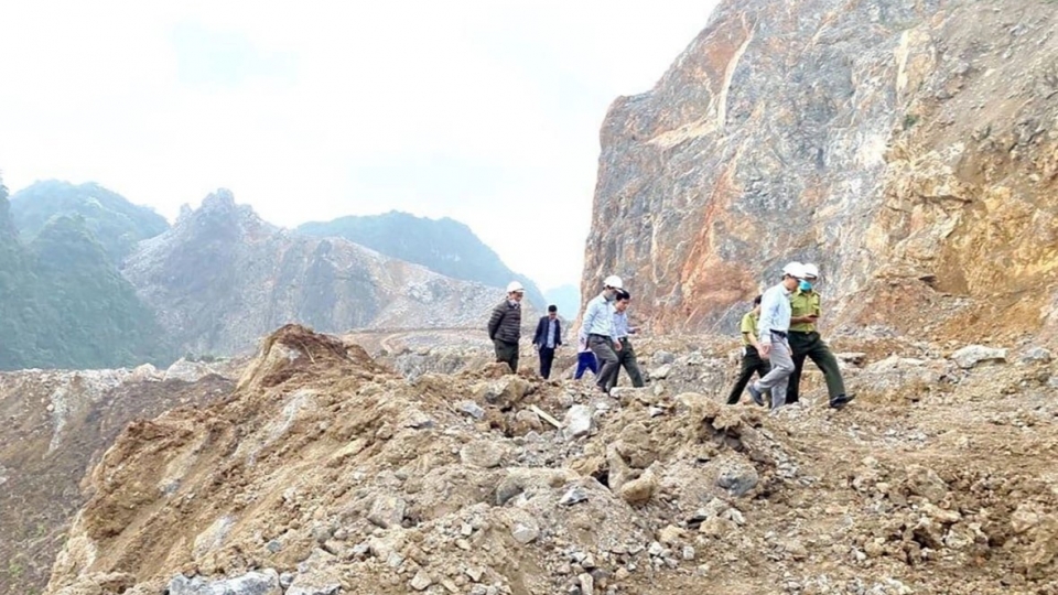 Vì sao phải chuyển đổi 38ha rừng phòng hộ tự nhiên ở Ninh Bình để sản xuất xi măng?