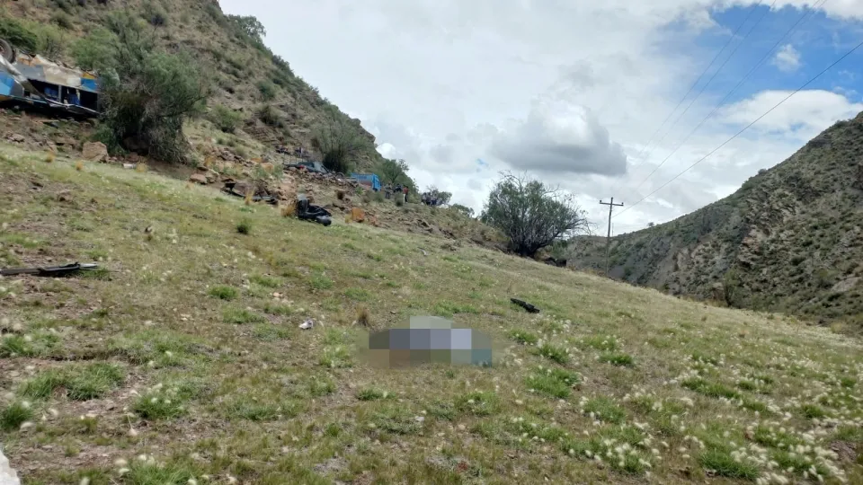 2025-02-17t235150z_17695187_rc2nwcaysmcg_rtrmadp_3_bolivia-crash.jpg