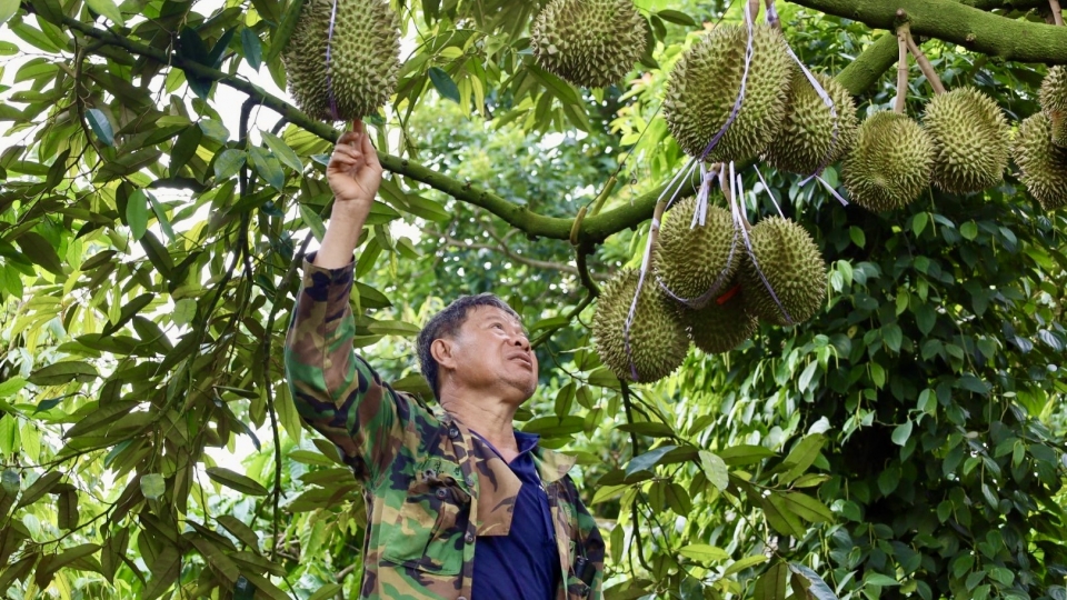 20_3_ma_vung_trong_20250320164723.jpg