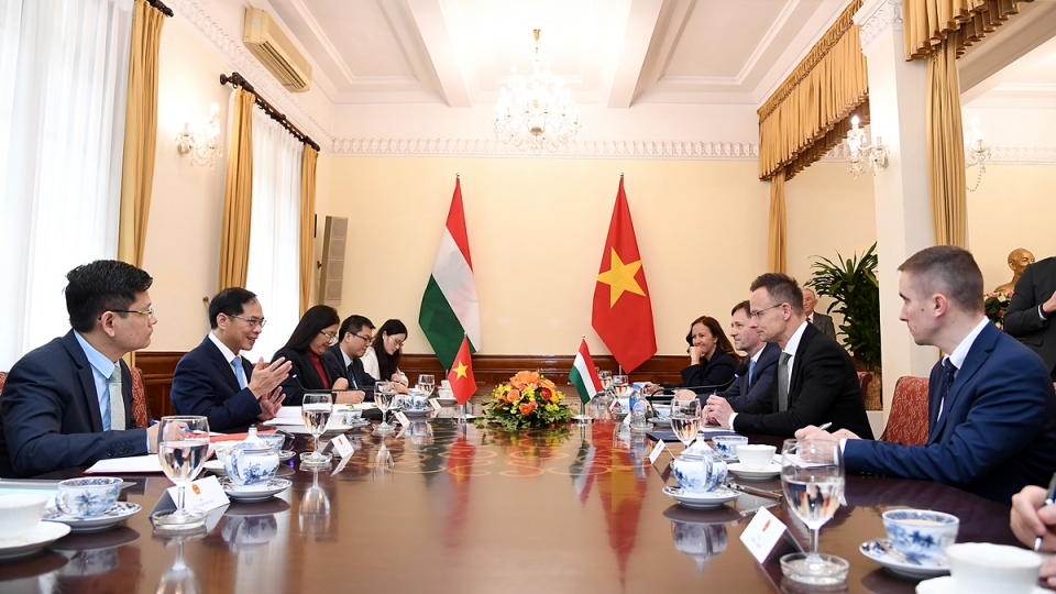 Bui Thanh Son and Peter Szijjarto talk in Hanoi.jpg