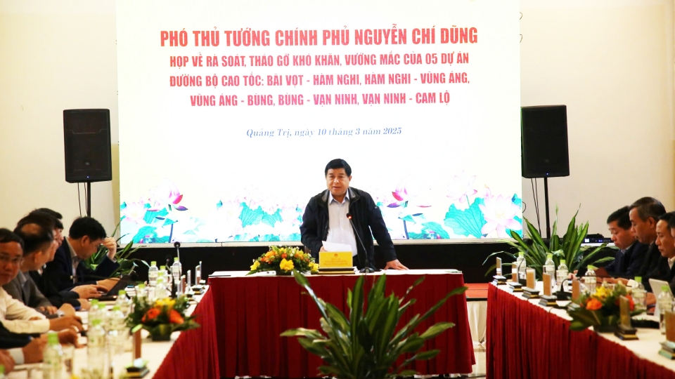 Phó Thủ tướng Nguyễn Chí Dũng phát biểu chỉ đạo tại buổi làm việc.jpg