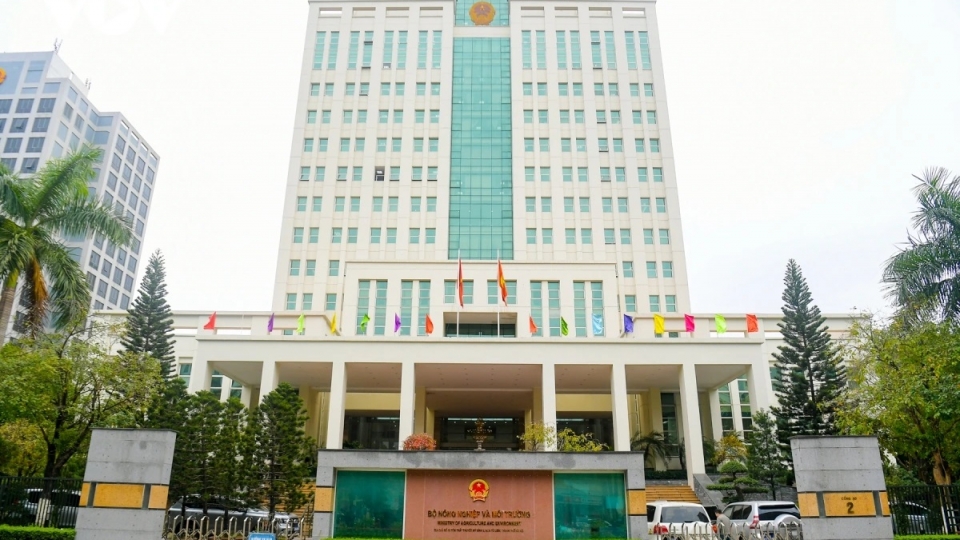 a1.jpg
