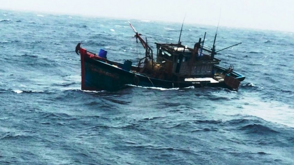 Fishing boat sinks off Quang Nam coast, leaving 5 dead or missing