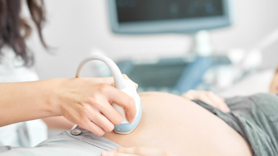 sa1.jpg